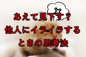 怒る子猫