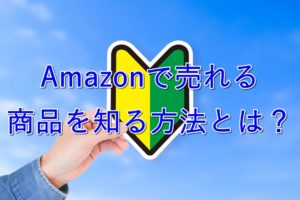 【入門】モノレートの見方・使い方を解説【Amazonで売れる商品を知る】
